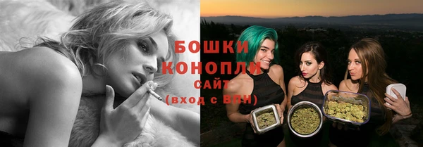 индика Наволоки
