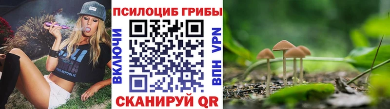 shop клад  Мензелинск  Псилоцибиновые грибы мицелий 